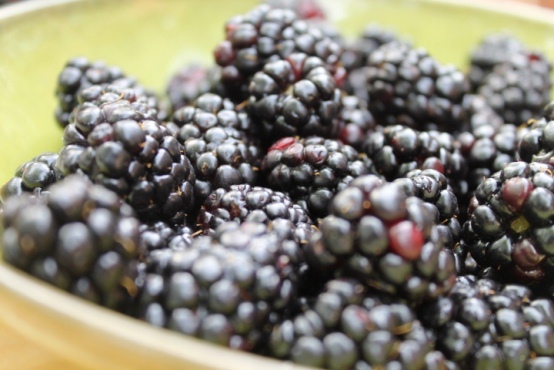 blackberries
