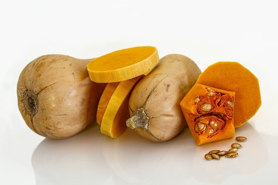 butternut-squash-399415_1920