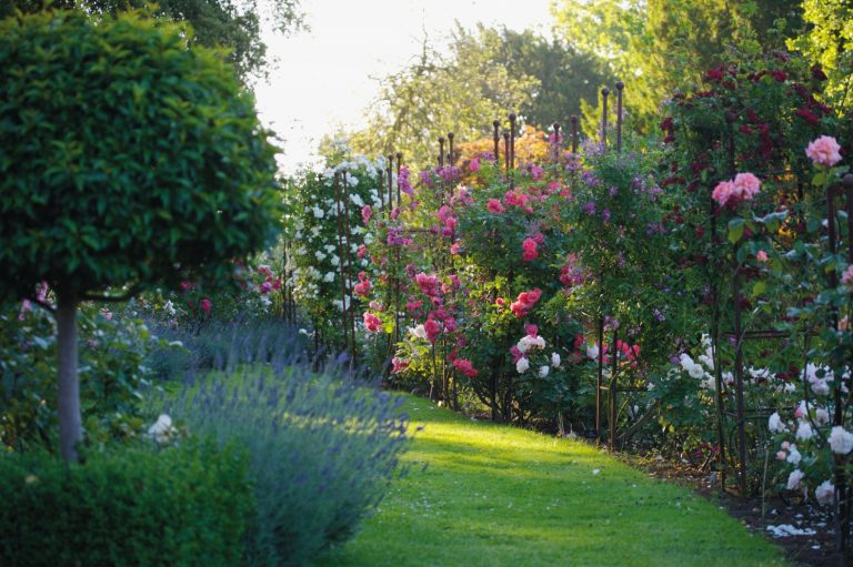 picture courtesy of belvoir castle